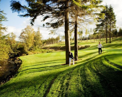 golf_1.jpg